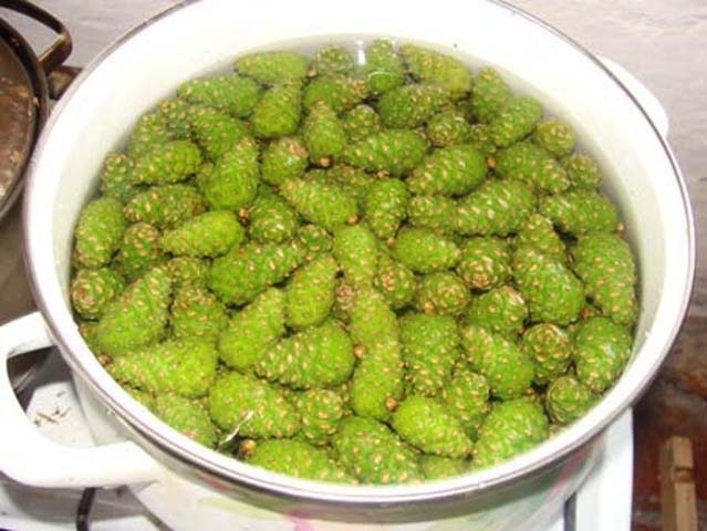 Варенье из сосновых шишек.