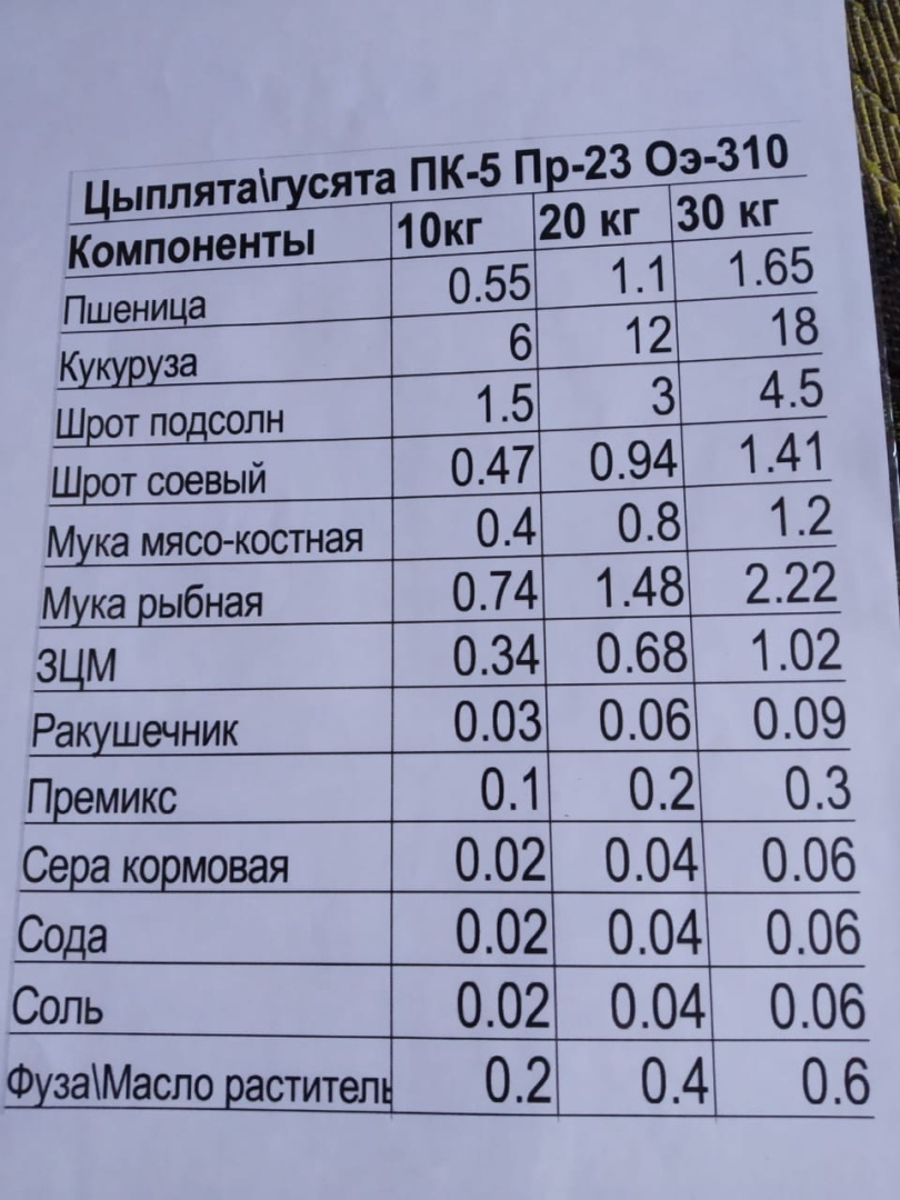 Рецепт изготовления комбикорма для домашней птицы