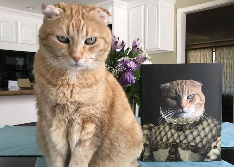 Коты со своими портретами в стиле минувших эпох