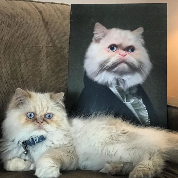 Коты со своими портретами в стиле минувших эпох
