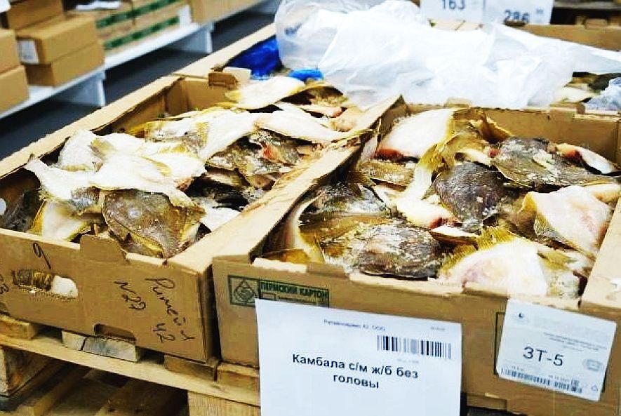 «Голод не тётка»: «нищемаркеты» становятся главными поставщиками продуктов для россиян