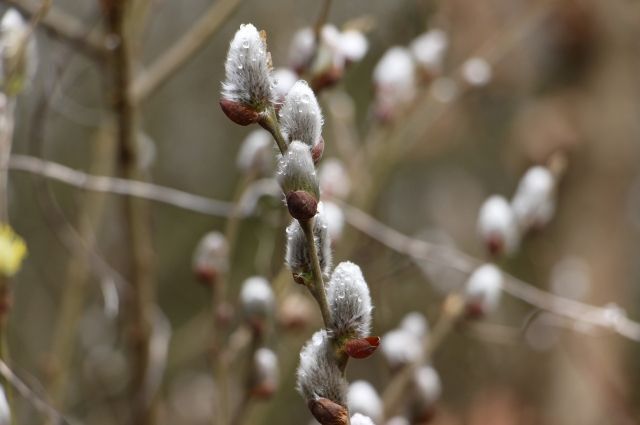 Вести-Иркутск новости.