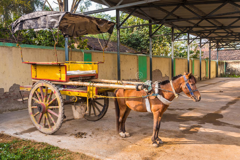 Очень много почему: Обо всем интересном, что нас окружает по чуть чуть