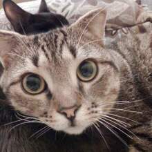 Анастасия, г. Саратов