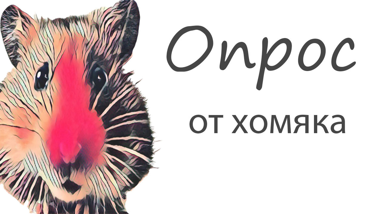 Вы часто смотрите Брифинг Минобороны России?