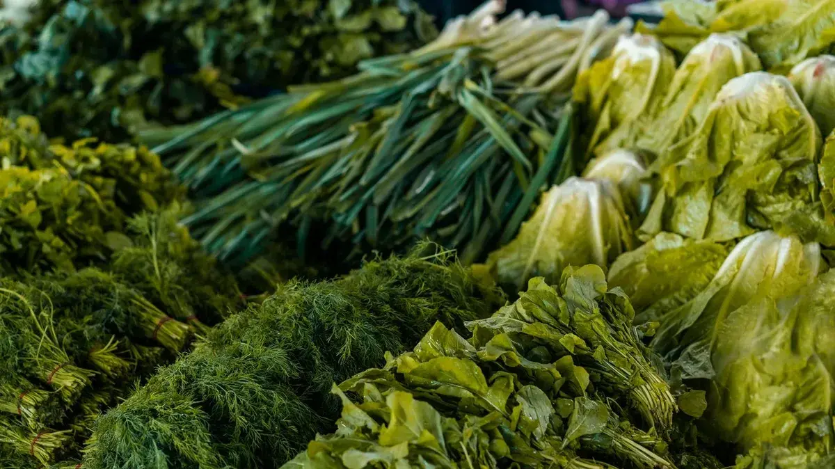 Лунный посевной календарь на апрель 2022 год: салата, шпината, укропа, петрушки, моркови и редиса