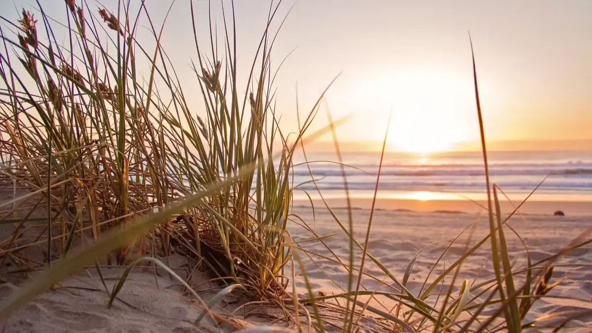 Как отдыхаем летом 2022: производственный календарь со всеми праздничными и выходными днями на июнь, июль, август