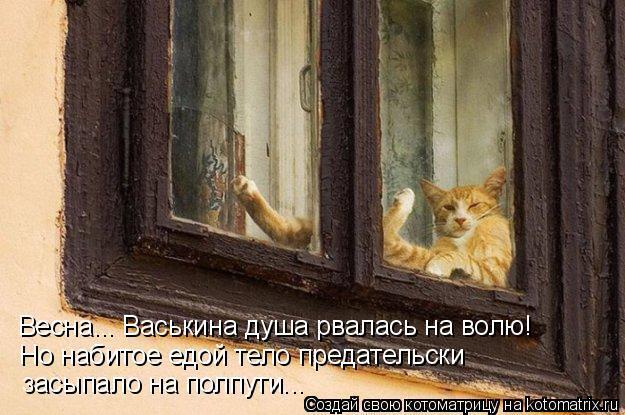 Без кошек жить нельзя на свете, нет!