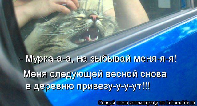 Без кошек жить нельзя на свете, нет!