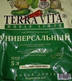 Выращивание огурцов на балконе или лоджии – часть 2. Удаление листиков, подсыпка земли в ёмкости для растений огурцов