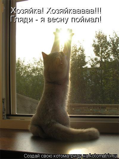 Без кошек жить нельзя на свете, нет!