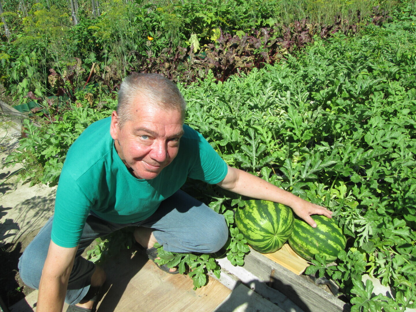 Вас тянет к земле? То бишь к саду-огороду?