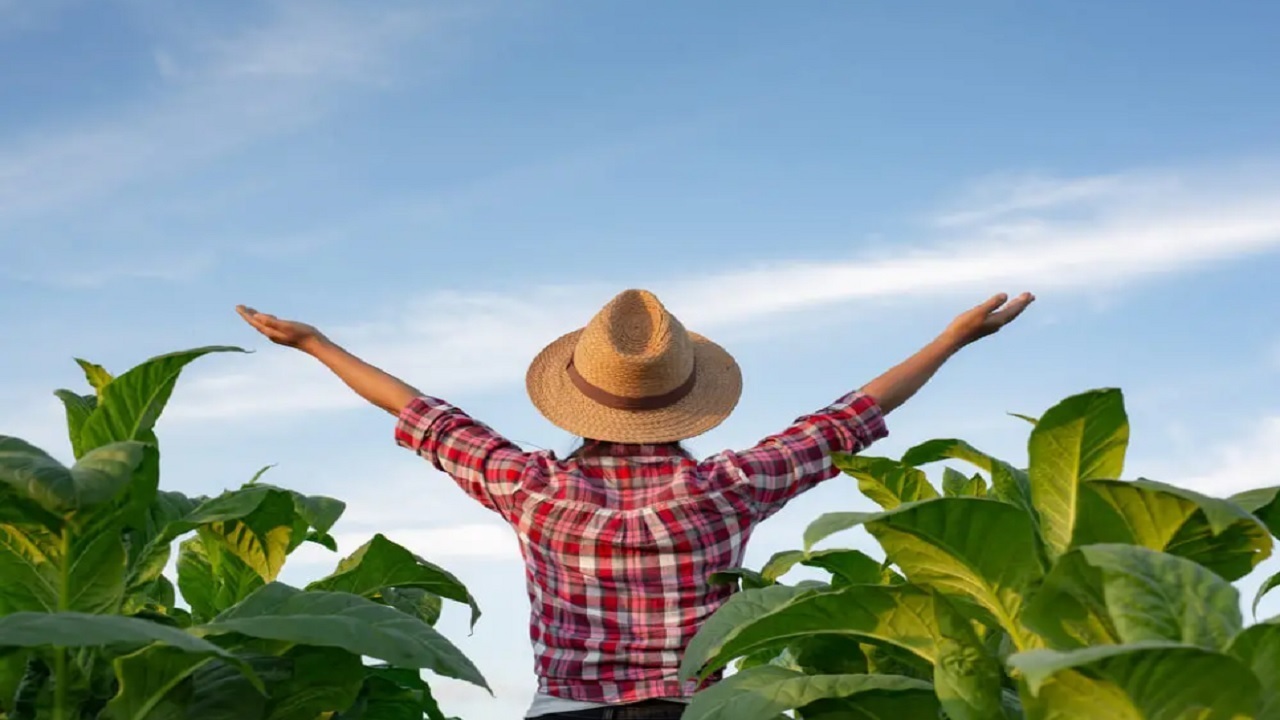 Как заработать в деревне. Чем заняться в деревне чтобы заработать денег. На чем можно заработать в деревне