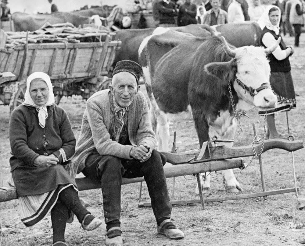 Какая историческая общность перестала существовать в 1991 году?