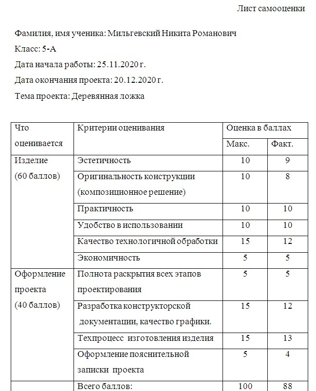 Творческий проект по дисциплине технология на тему: Деревяная ложка