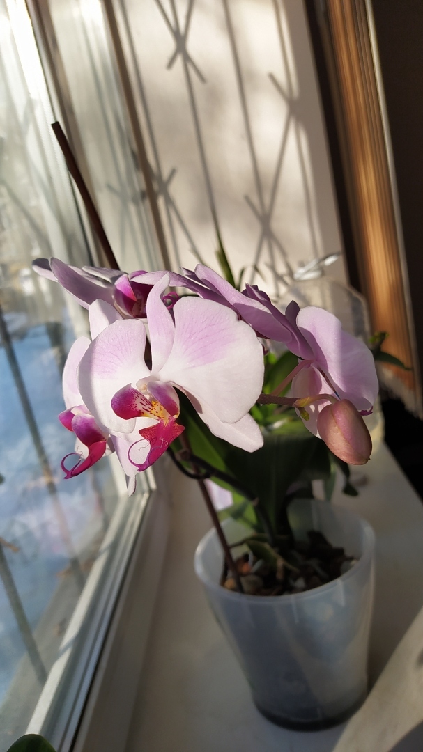 Какое женское имя кажется Вам приятным?