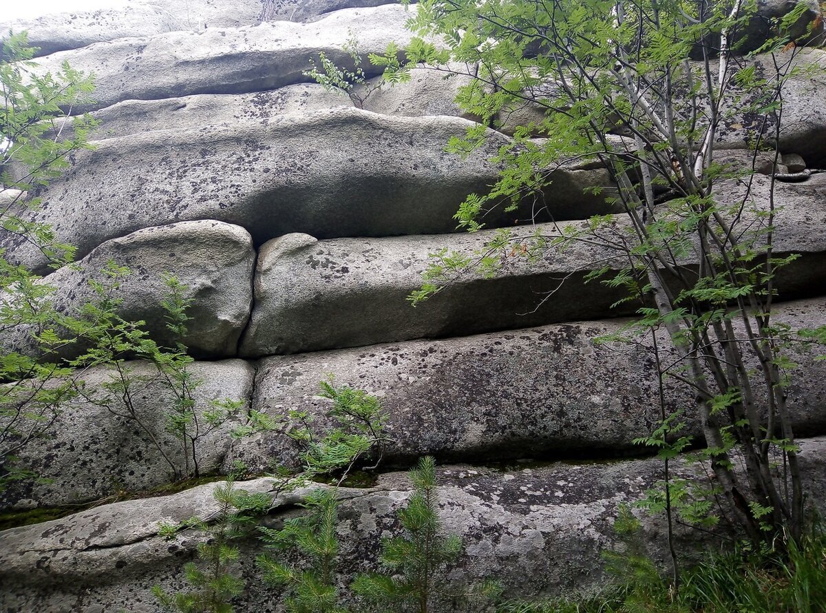 ВЕЛОПУТЕШЕСТВИЕ ОТ АРАКУЛЯ ДО КЫШТЫМА