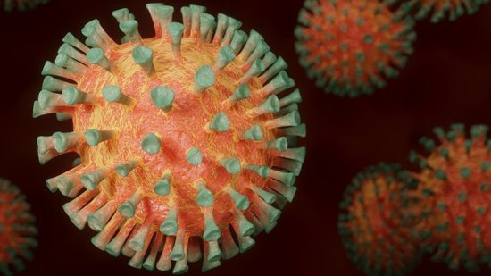 Роспотребнадзор усомнился в сверхуникальных свойствах нового коронавируса ХЕ