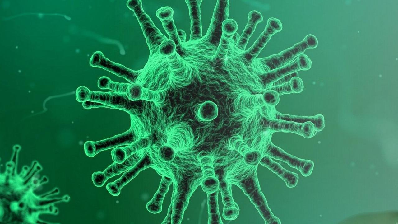 Был ли смысл в Covid-19?