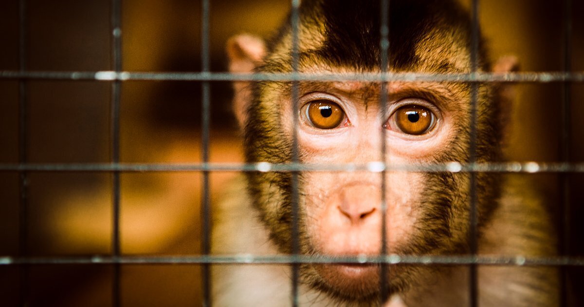 Парадокс Ферми и попытки его обьяснить