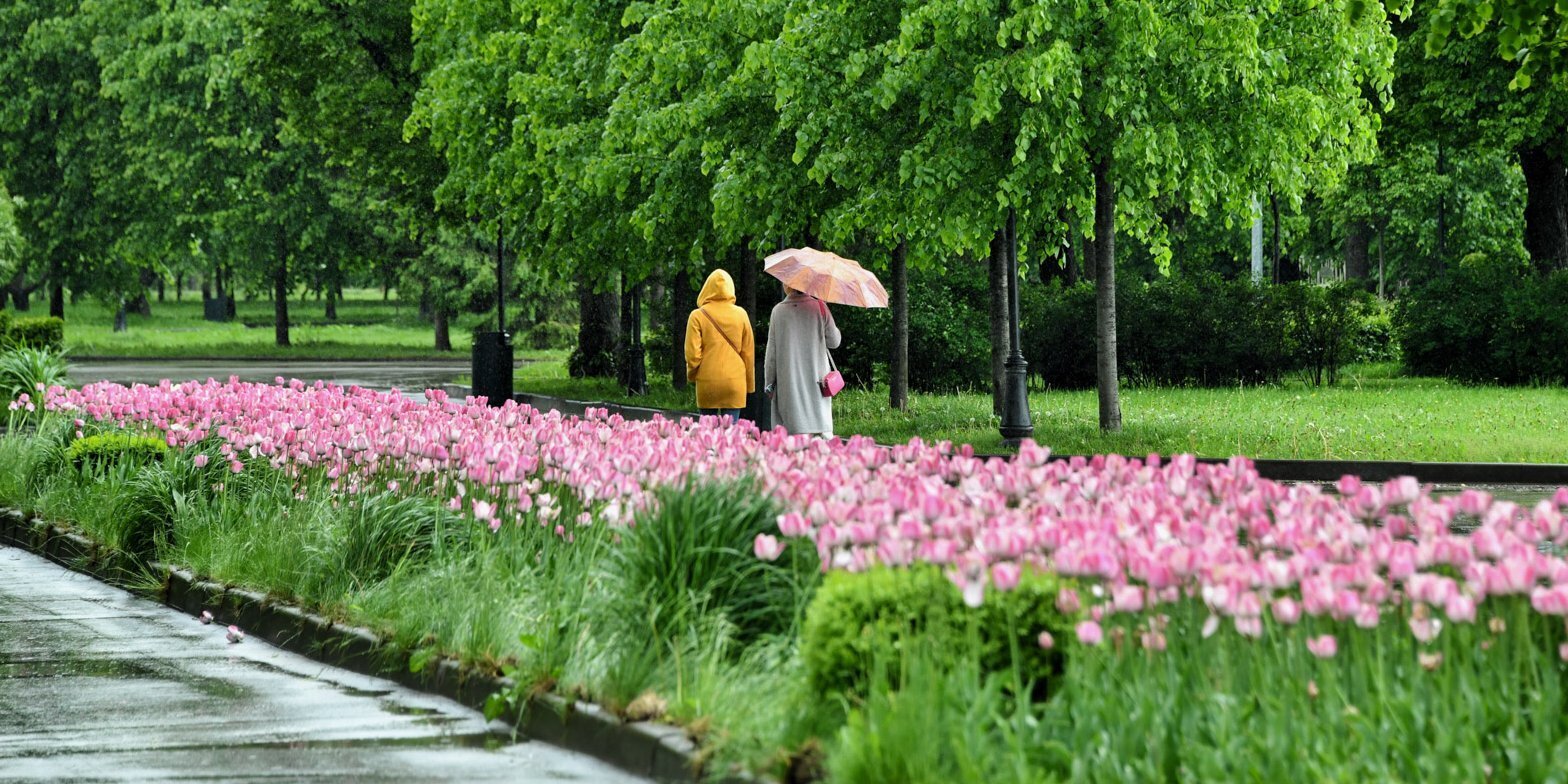 От Щукинского парка до Всехсвятской рощи пройдет новый прогулочный маршрут