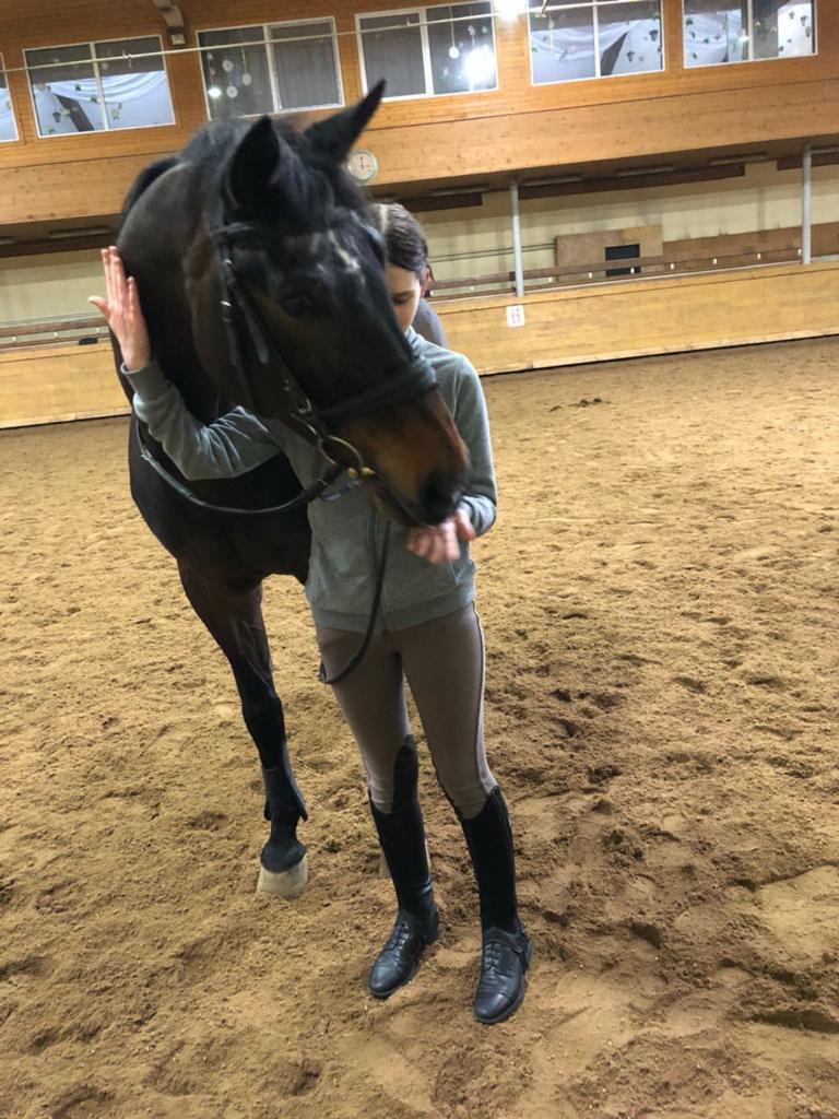 Кольцевой маршрут для прогулок верхом появится в «Битцевском лесу»