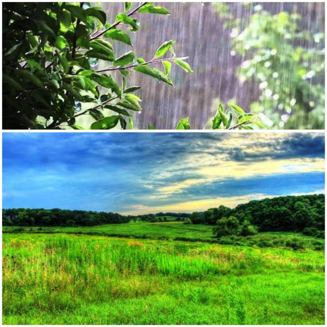 Единственное неподдельное это наша природа и это то место где мы охотно тратим свое время