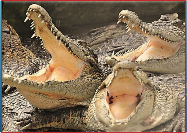 Заметка о том, как проводится работа западных СМИ в отношении русских