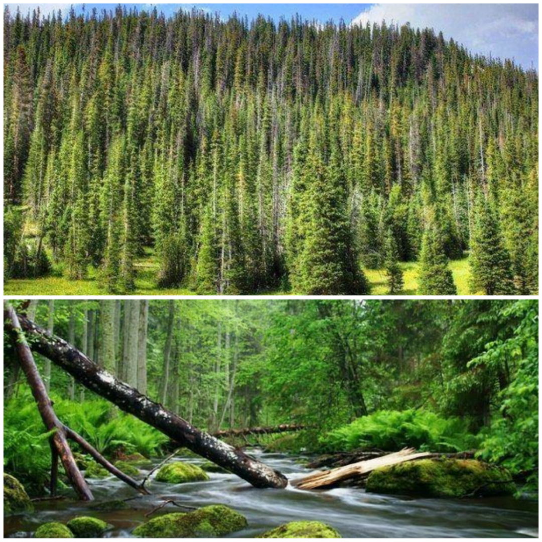 Единственное неподдельное это наша природа и это то место где мы охотно тратим свое время