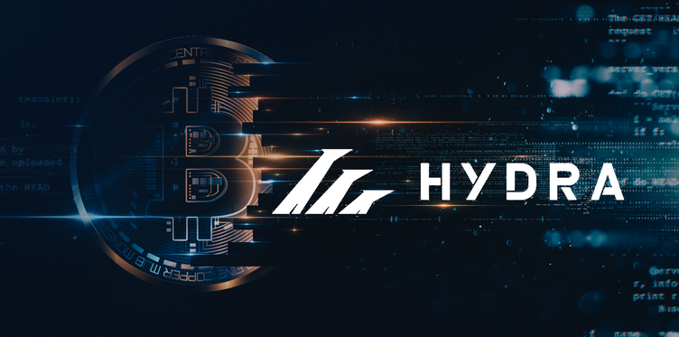 Гидра не работает 8 апреля 2022 почему, что случилось с сайтом "Гидра", Hydra восстановит свою работу обещают владельцы. Что будет дальше с Гидрой?