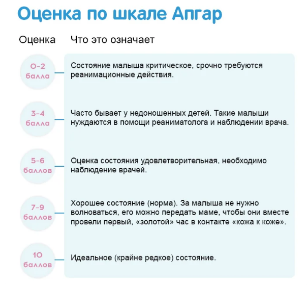 Показатели 10 из 10, аппетит хороший, голос громкий: У 68-летнего Андрея Макаревича родился сын в Израиле