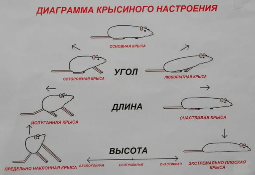 Зеленский выразил свое мнение о смер...