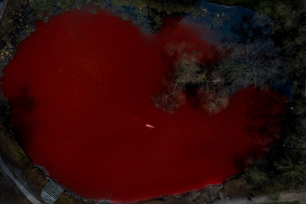 "Кровавая" акция протеста в Литве: 400 килограмм красной краски, кроваво-красный пруд и "несмертельный" заплыв...