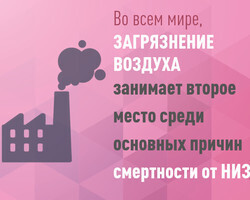 ВОЗ: уже 99% населения планеты дышит опасным для здоровья воздухом.