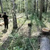 nezakonnaya_vyrubka_lesa_003.jpg
