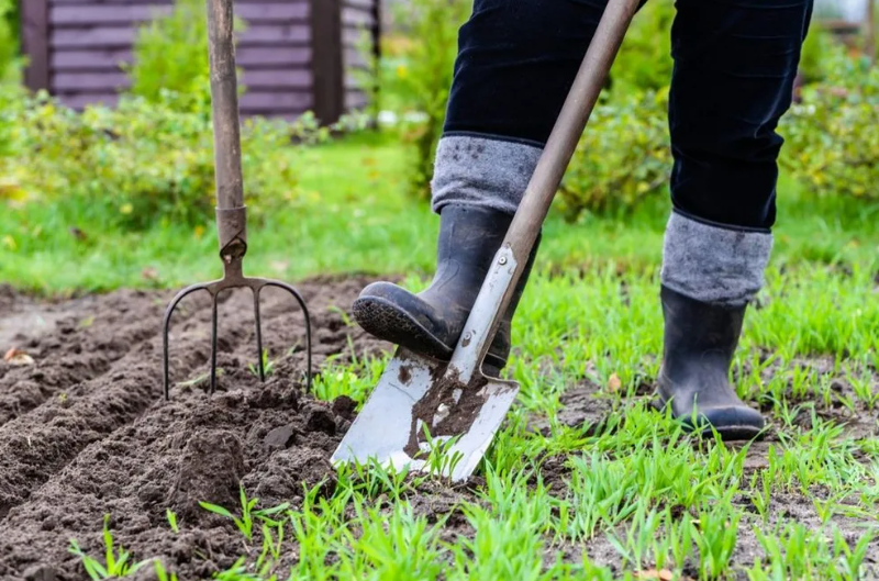 Продление майских праздников в 2022 году. Как увеличение числа нерабочих дней в сезон посадочных работ может отразиться на благосостоянии россиян?