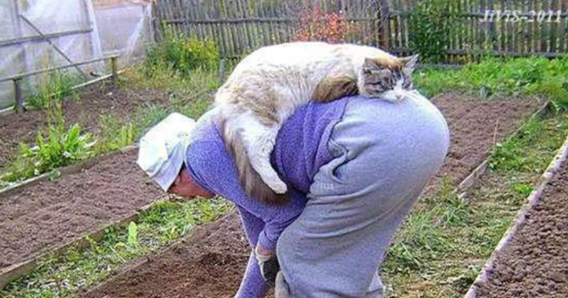 Продление майских праздников в 2022 году. Как увеличение числа нерабочих дней в сезон посадочных работ может отразиться на благосостоянии россиян?