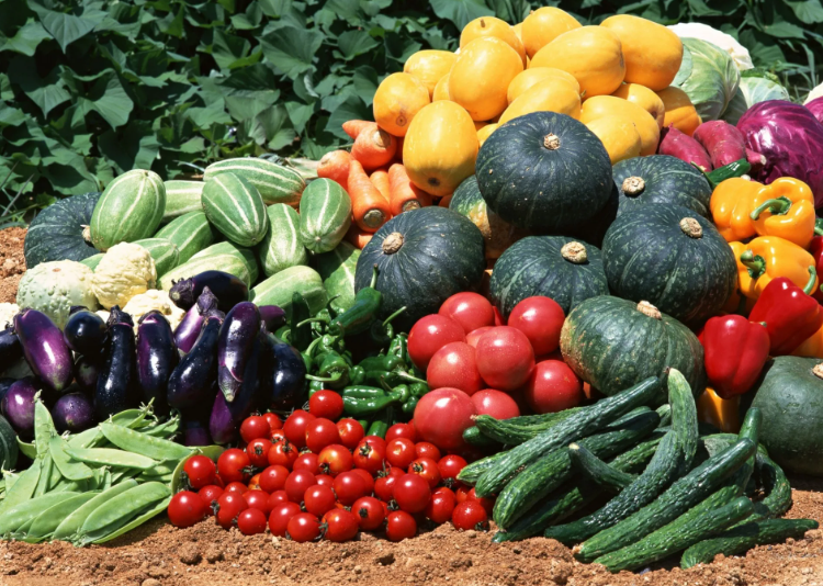 Продление майских праздников в 2022 году. Как увеличение числа нерабочих дней в сезон посадочных работ может отразиться на благосостоянии россиян?