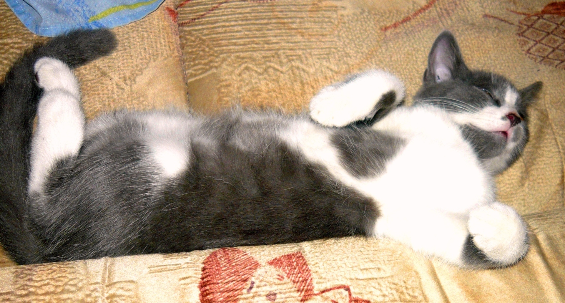 Новый сервис от Яндекса