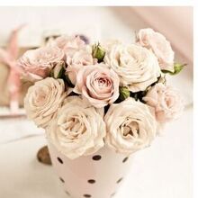 Гость_9110052, г. Боровичи