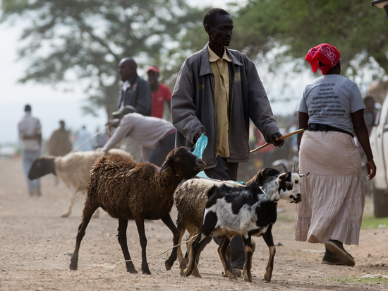 События на Украине грозят обнищанием четверти планеты: ценам предрекли взлет