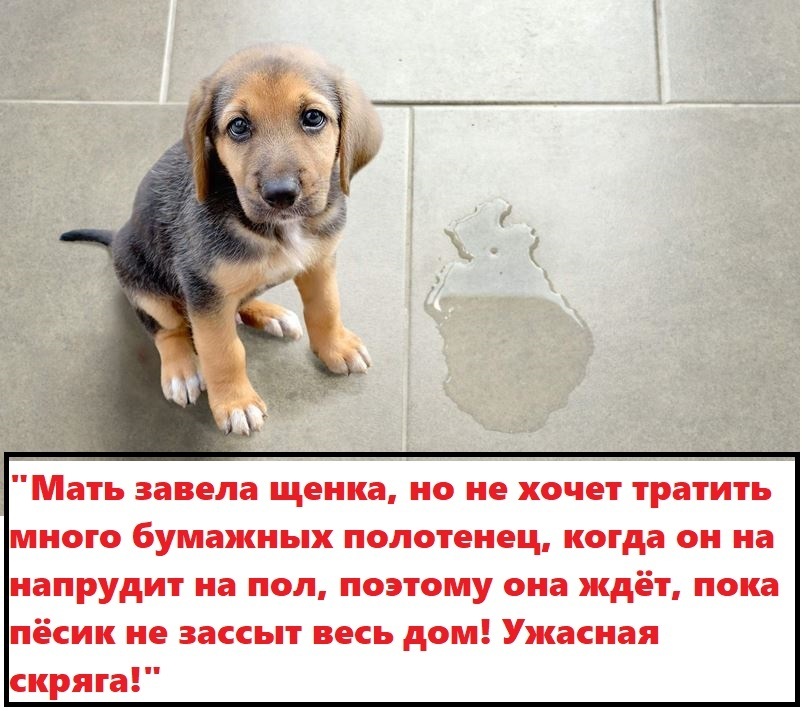 «Моя мать — скряга!»: родственники-скупердяи - это патологическая жадность или разумная бережливость? Делитесь своим опытом жизни со жмотами