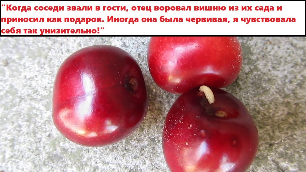 «Моя мать — скряга!»: родственники-скупердяи - это патологическая жадность или разумная бережливость? Делитесь своим опытом жизни со жмотами