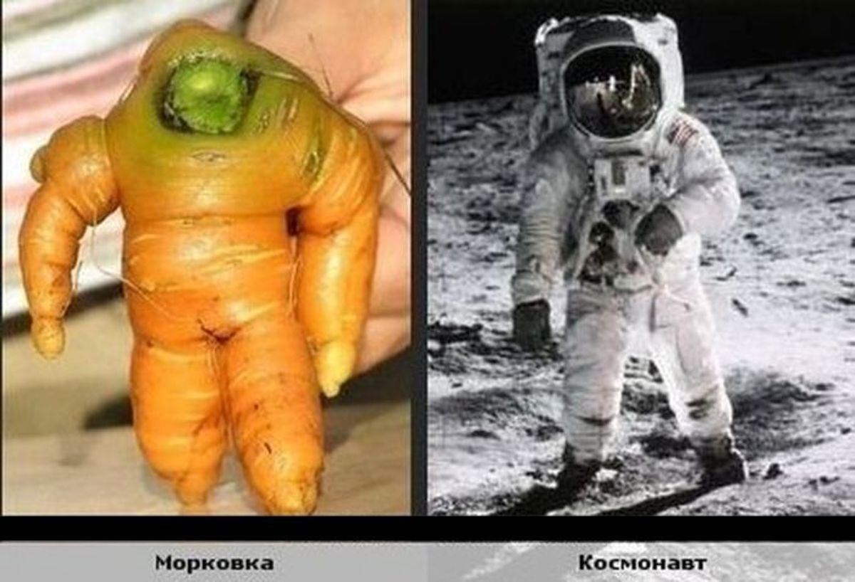 С днём космонавтики! Весёлые картинки