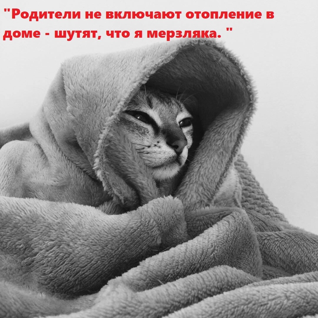 «Моя мать — скряга!»: родственники-скупердяи - это патологическая жадность или разумная бережливость? Делитесь своим опытом жизни со жмотами