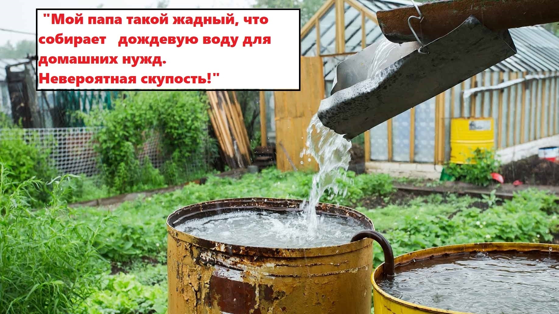 «Моя мать — скряга!»: родственники-скупердяи - это патологическая жадность или разумная бережливость? Делитесь своим опытом жизни со жмотами