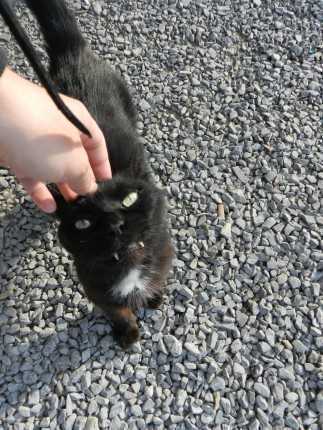 Урал. Дорога из Пензы в Курган