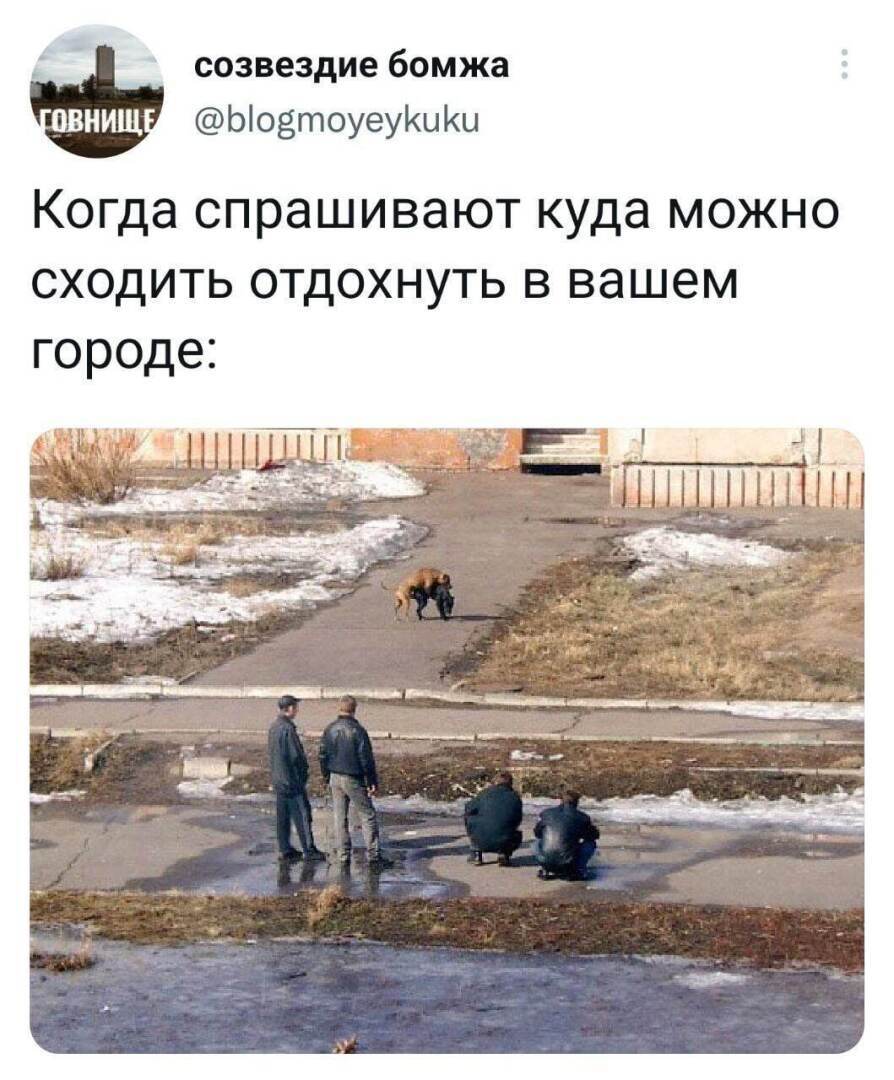 Галерея Юмора разного жанра.