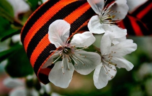 Как россияне отдыхают на майские праздники в 2022: майские праздники продлят с 1 по 10 мая 2022? Производственный календарь на май 2022 года