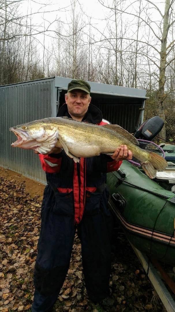 Вот такой улов!